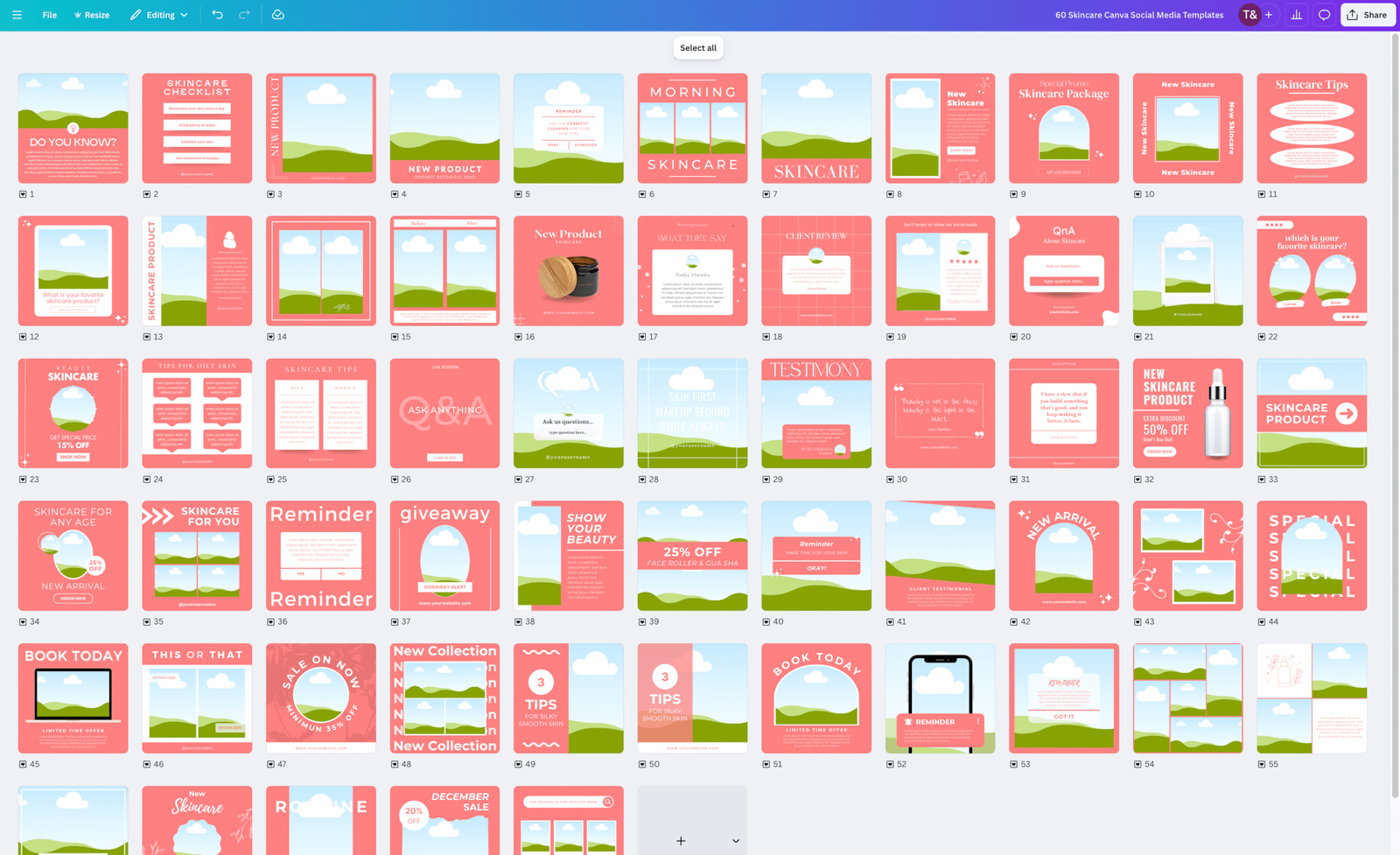 60 Skincare Social Media Canva Templates for Instagram & Facebook (Editable Aesthetic Posts) - Image 2