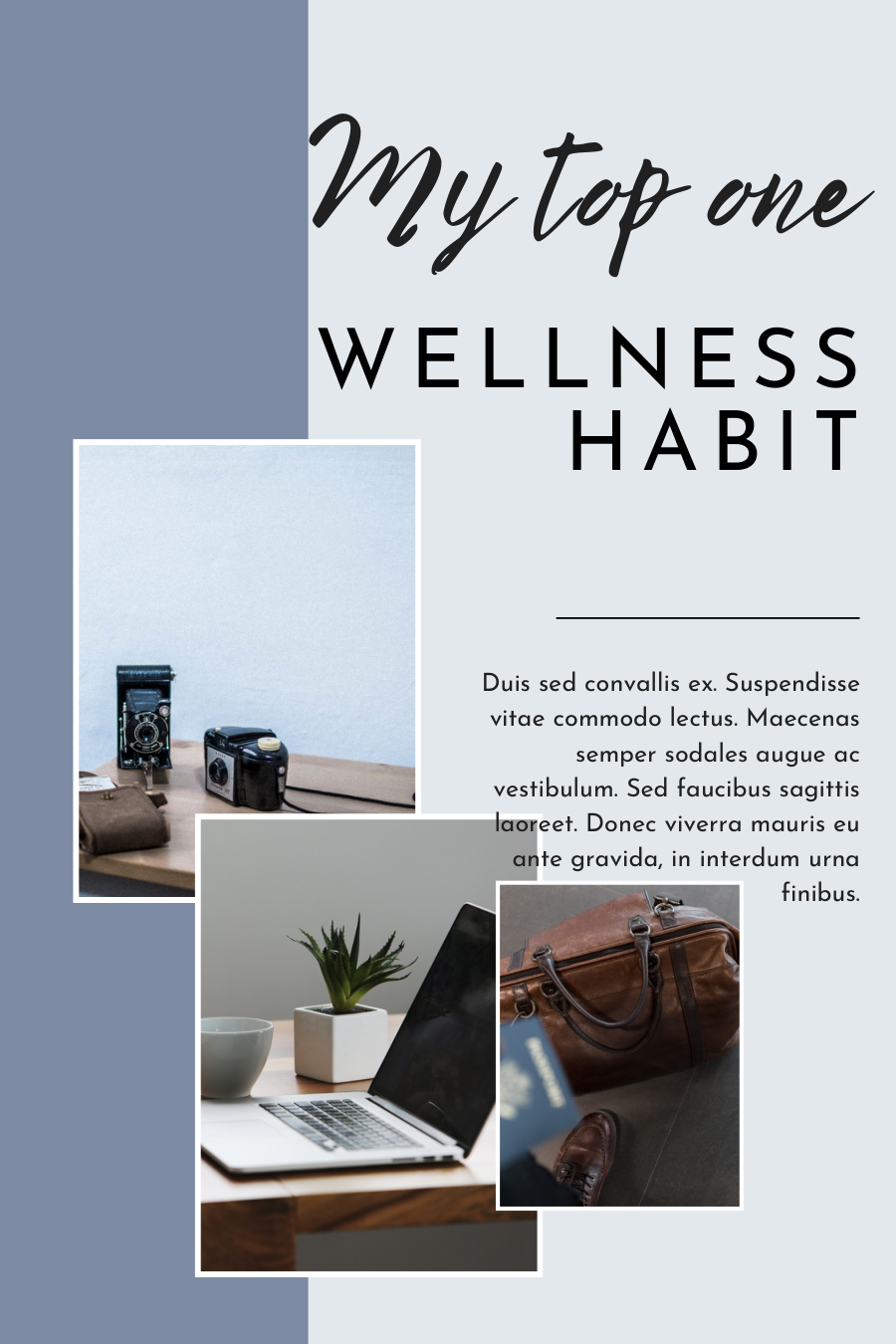 Business Coach Pinterest Template - Image 3