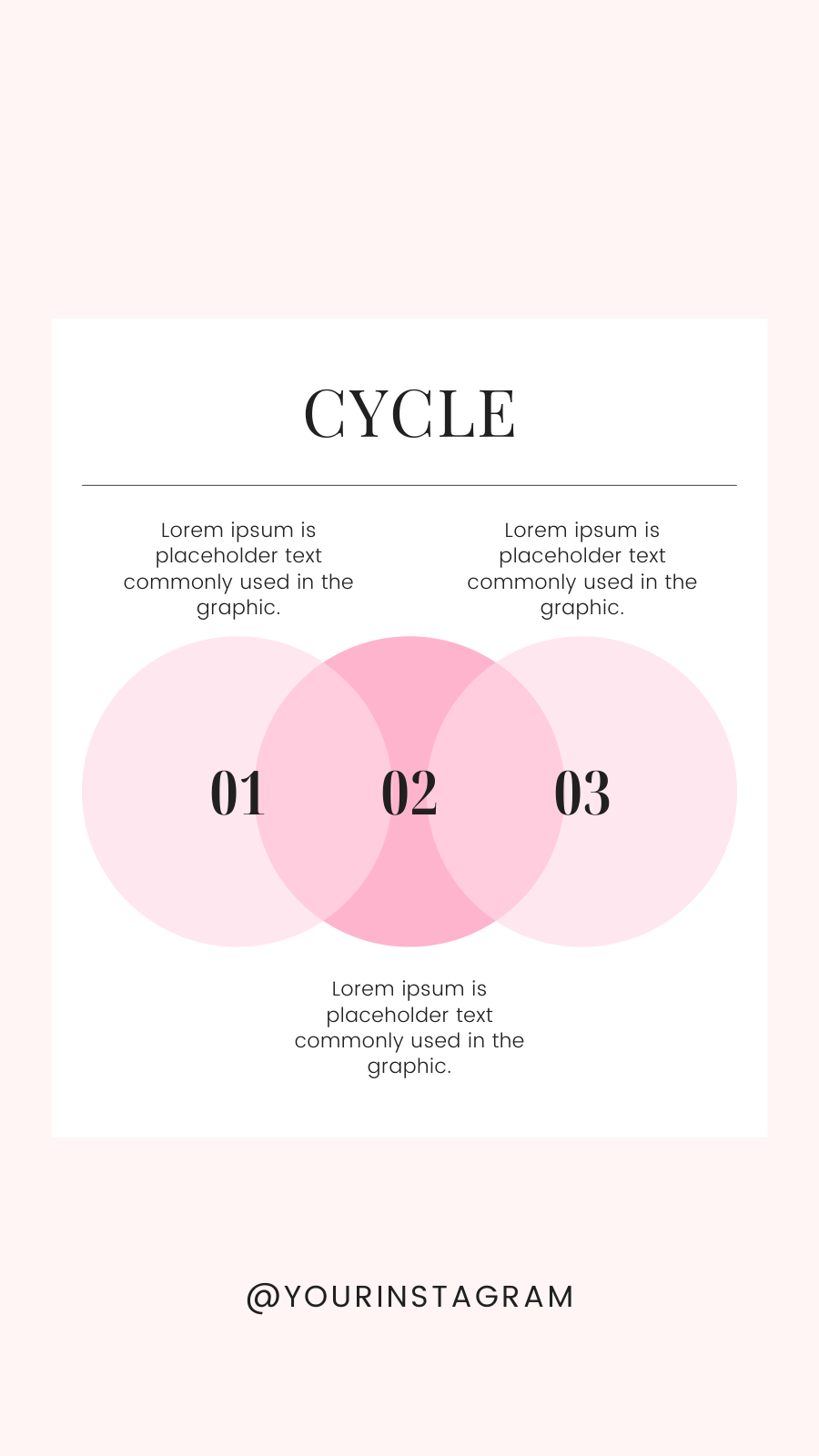 Instagram Charts and Graphs Story Template - Image 2