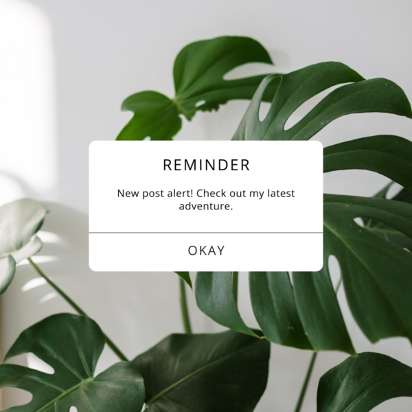 Instagram Notification Template For Instagram Post