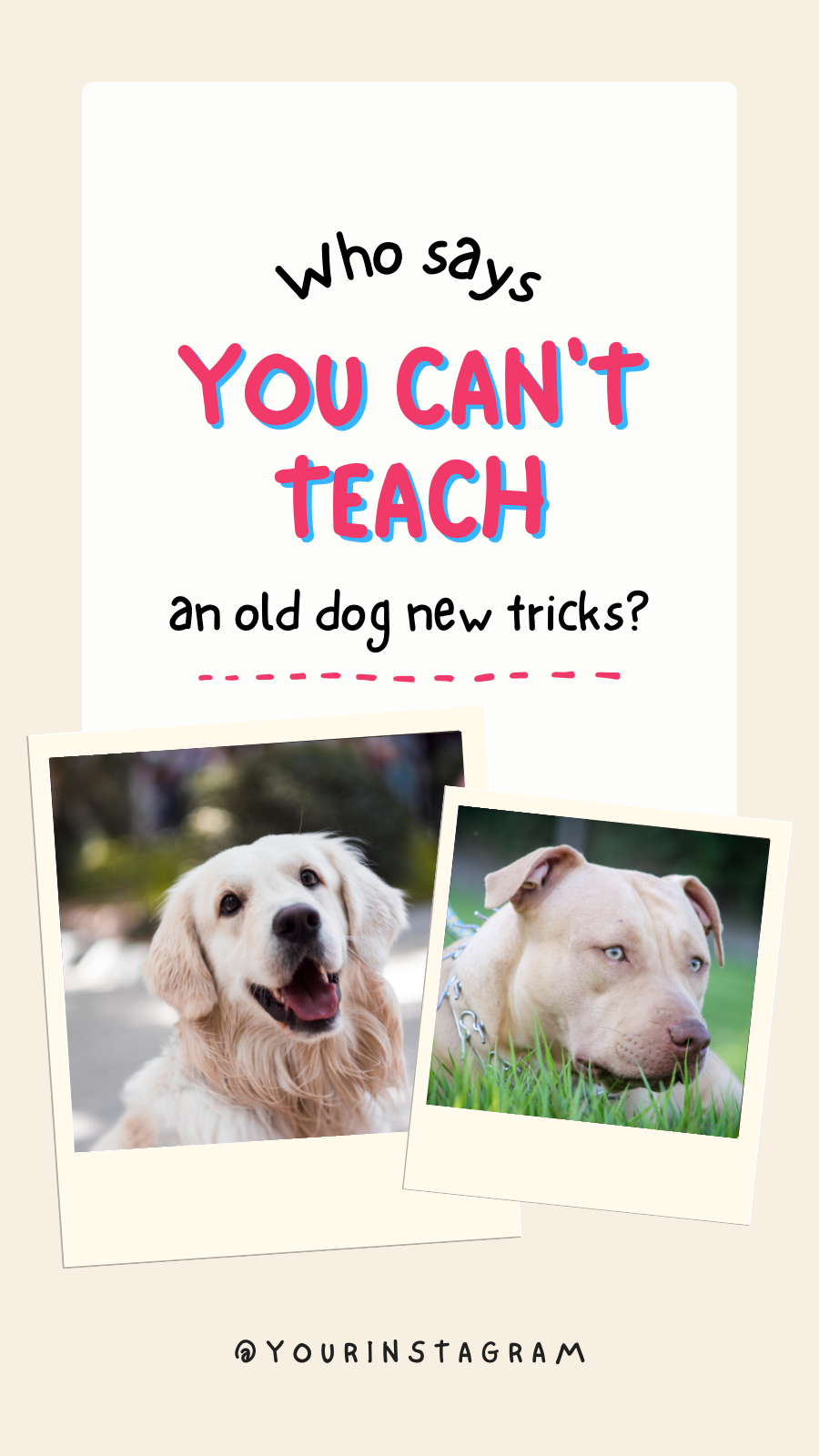Pet Engagement Booster Instagram Story Template - Image 2