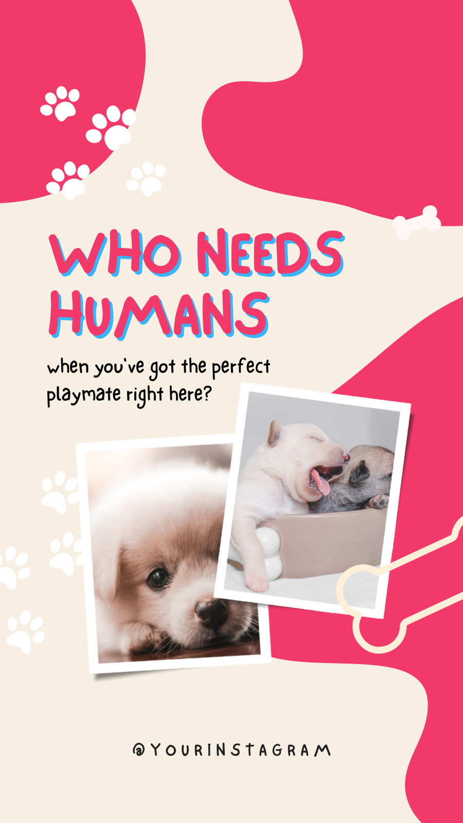 Pet Engagement Booster Instagram Story Template - Image 3