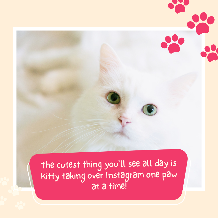 Pet Engagement Booster Instagram Template