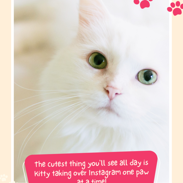 Pet Engagement Booster Pinterest Template